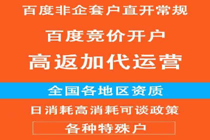 百度SEO推广公司经典之作：打造行业领先品牌